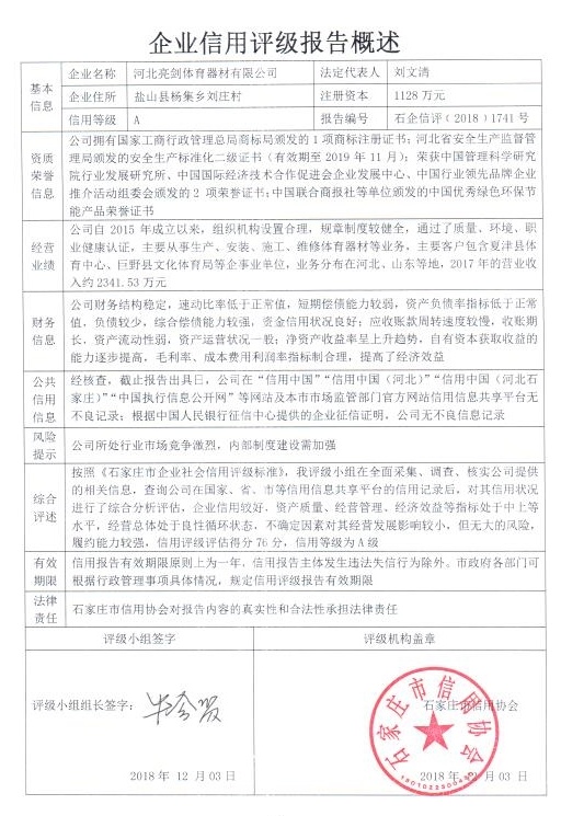 河北亮剑体育器材有限公司