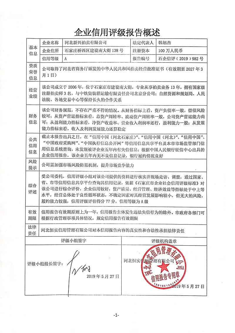 河北新兴拍卖有限公司
