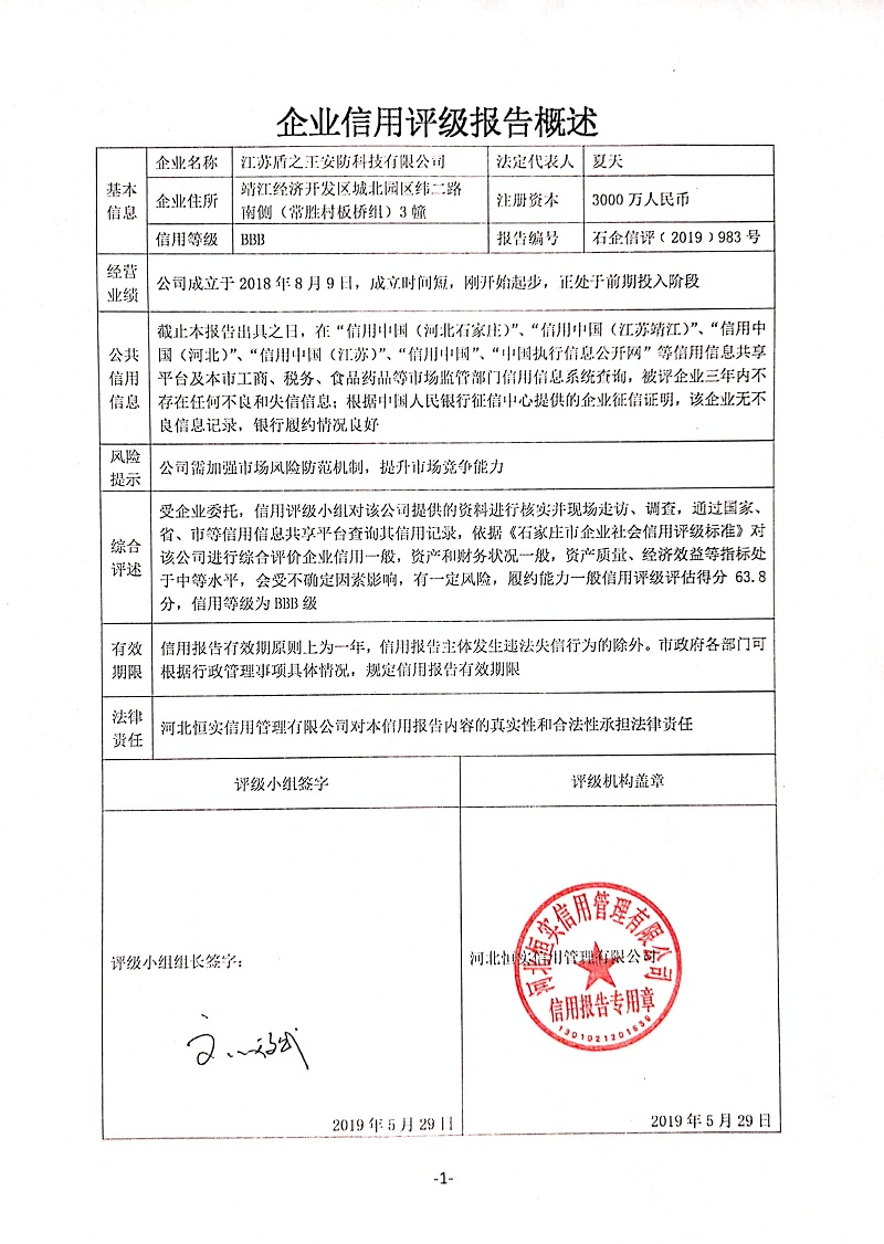 江苏盾之王安防科技有限公司
