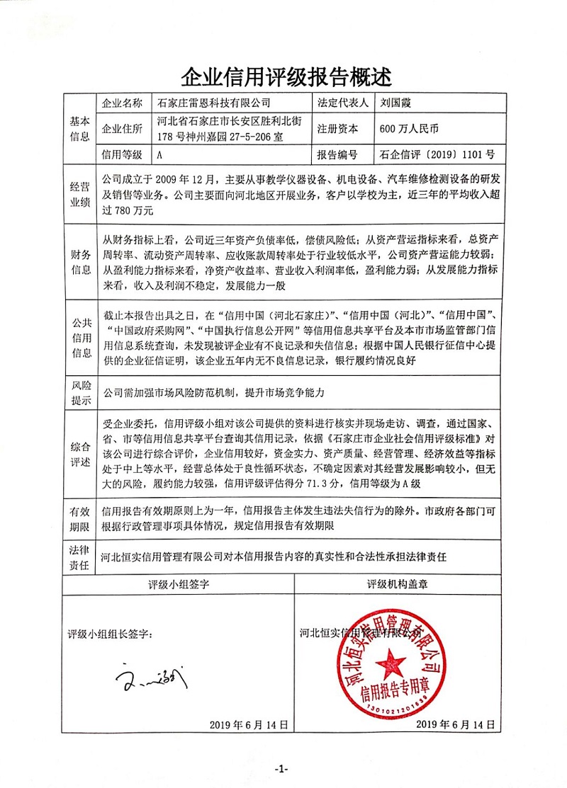 石家庄雷恩科技有限公司