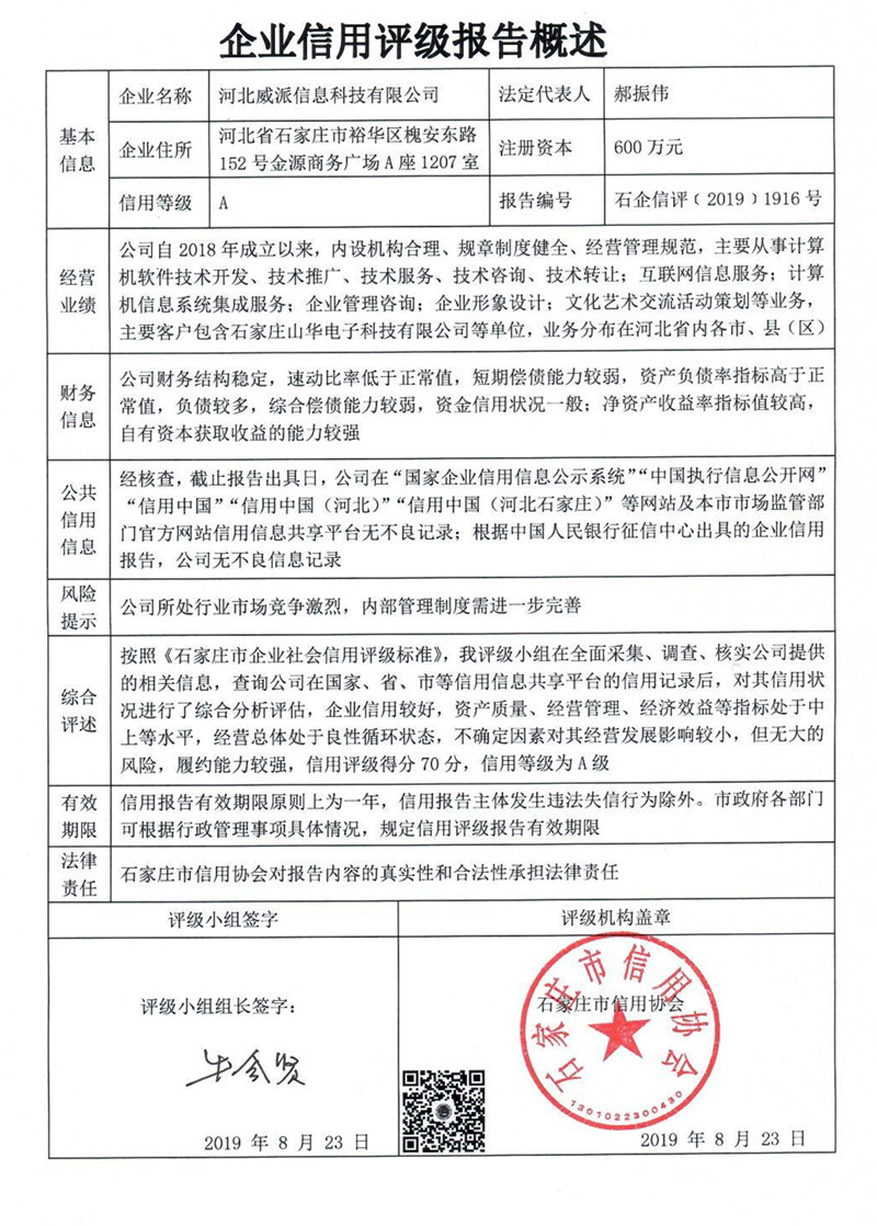河北威派信息科技有限公司