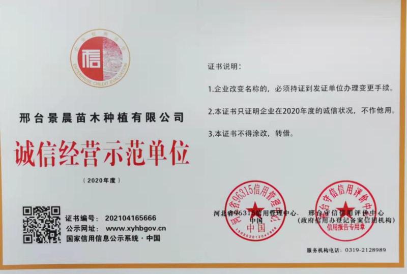 邢台景晨苗木种植有限公司